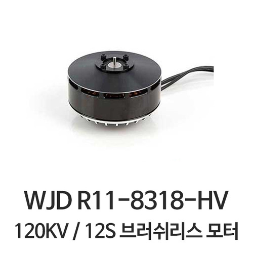 WJD R11-8318-HV (120KV) 방제용 BL 모터 (12S/44.4V)