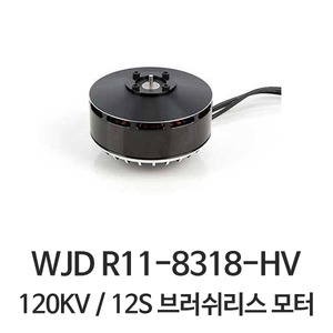 WJD R11-8318-HV (120KV) 방제용 BL 모터 (12S/44.4V)